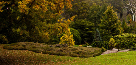 1198065 (a): :2900x1400